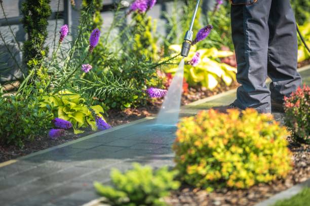Best Spring Cleaning  in Jacksonvle, IL